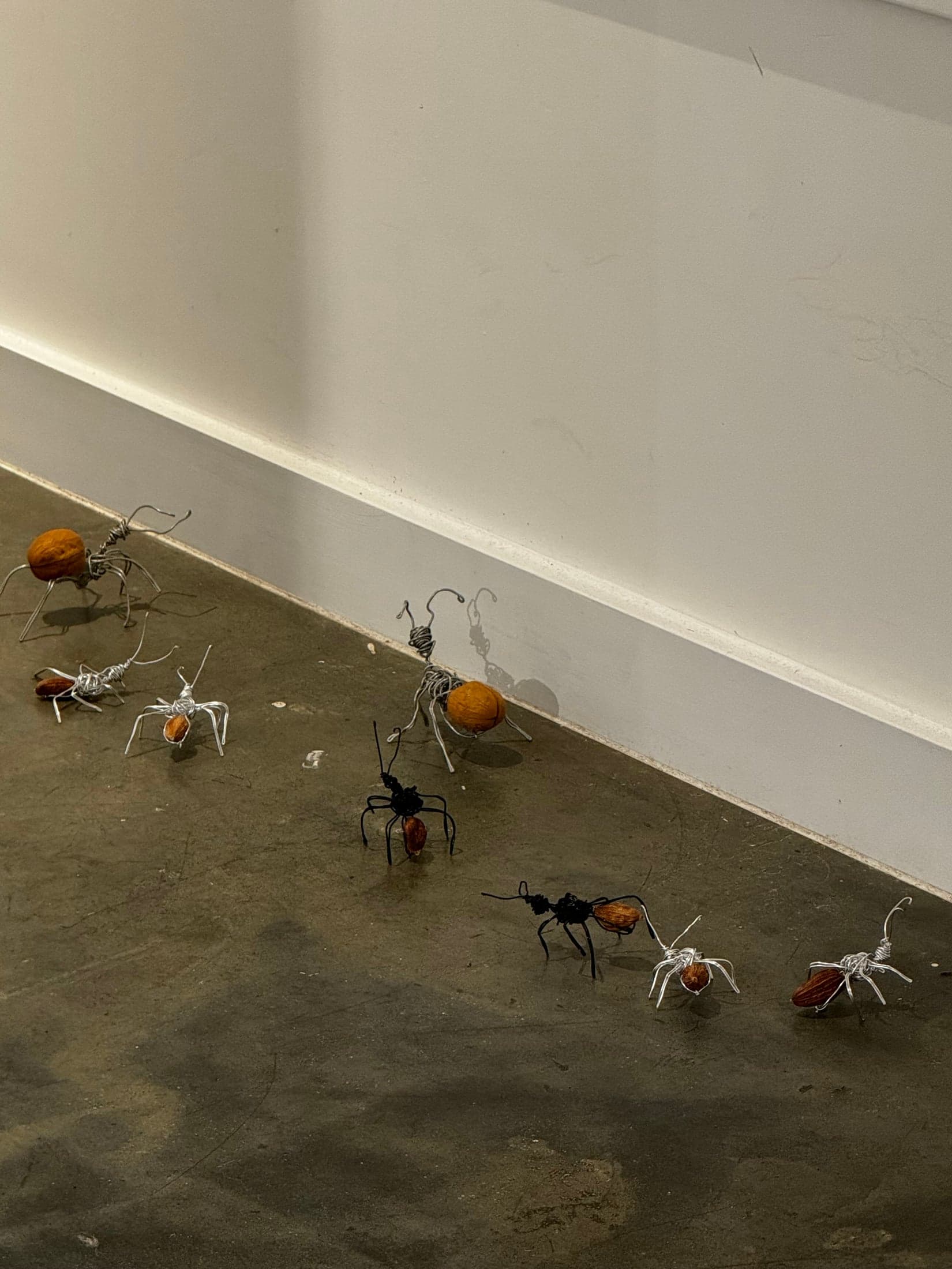 Wire ants carrying walnuts form a procession along a white gallery wall and concrete floor.