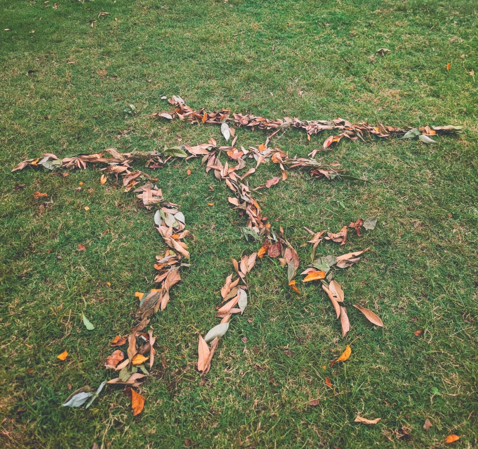 Fallen leaves arranged on grass to trace the artist’s own palm-line glyph, forming a large hand shape.