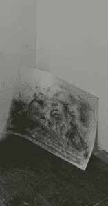 Installation-photo of a coal drawing of a fragmented head, placed low and vulnerable in a corner, referencing Shelley’s Ozymandias.
