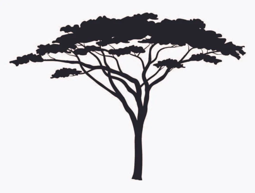 Black silhouette of a single tree, reference for installation tree.