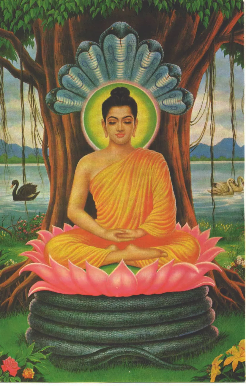 Buddha sitting under Bodhi tree.