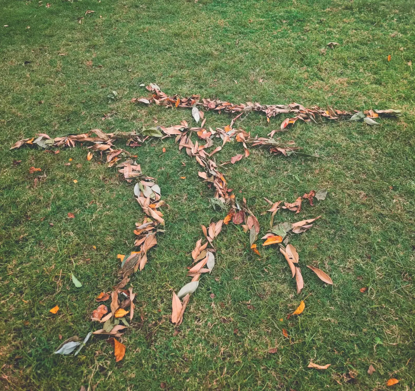 Fallen leaves arranged on grass to trace the artist’s own palm-line glyph, forming a large hand shape.