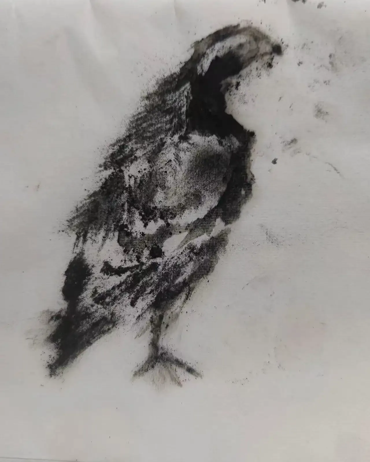 EN: Coal dust drawing of a bird, inspired by traditional Chinese literati painting, expressing a longing for freedom.