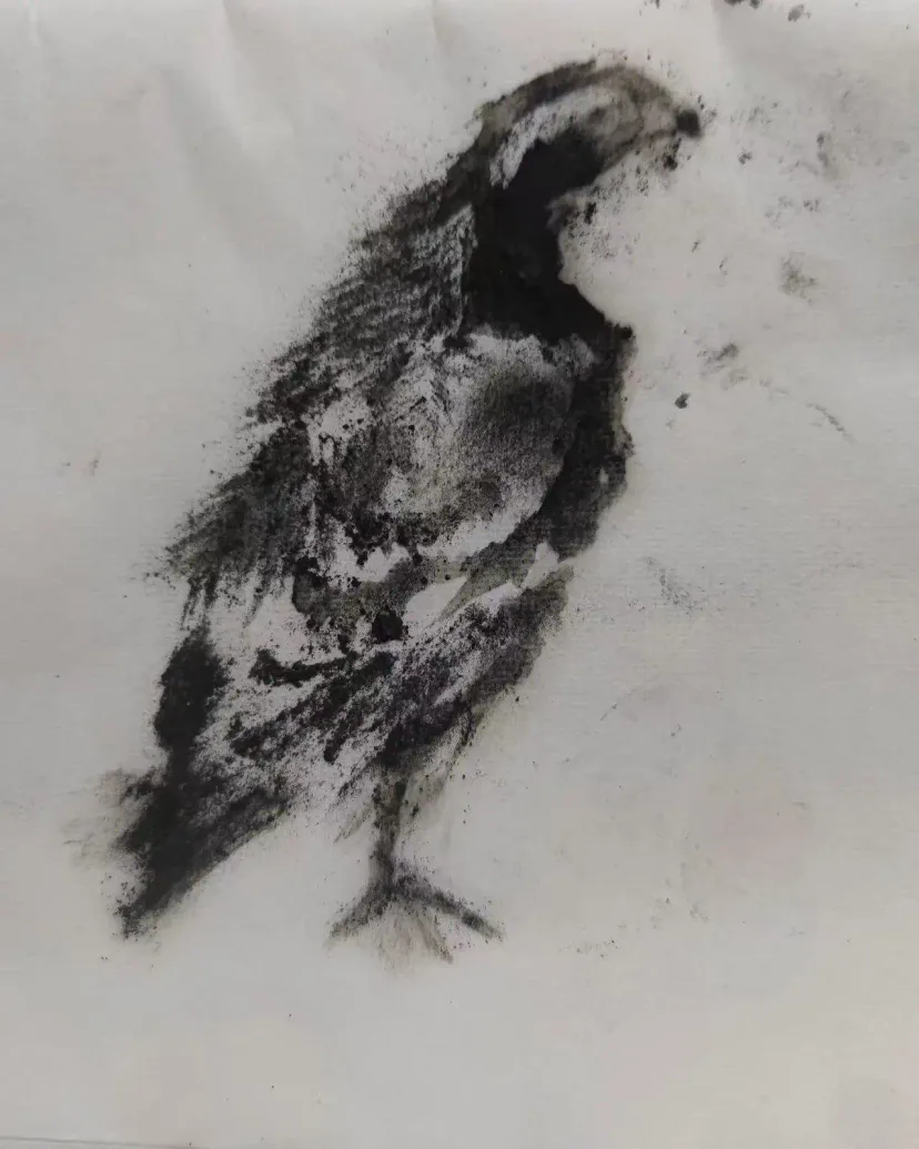 EN: Coal dust drawing of a bird, inspired by traditional Chinese literati painting, expressing a longing for freedom.