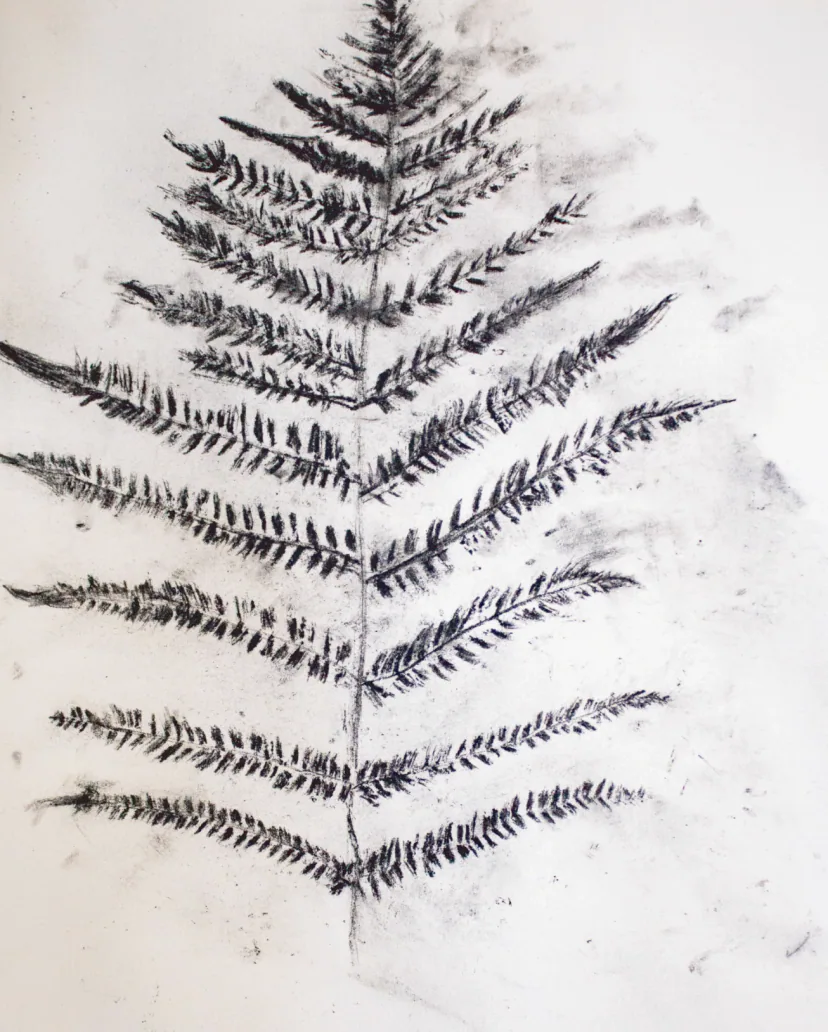 EN: Coal block rubbing of a fern on xuan paper, evoking the look of fossilized plants and connecting material experiment to deep time.