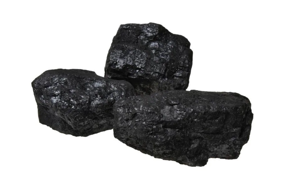 EN: Coal from Fengcheng, once the economic lifeblood of the region, now reimagined as material for poetry painting and memory work.