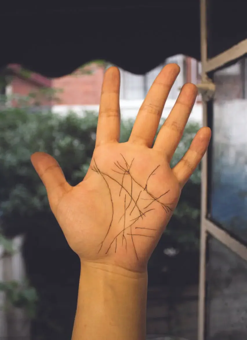 Artist’s own palm with life lines hand-drawn directly on the skin, forming the basis for later calligraphic and land-art works.