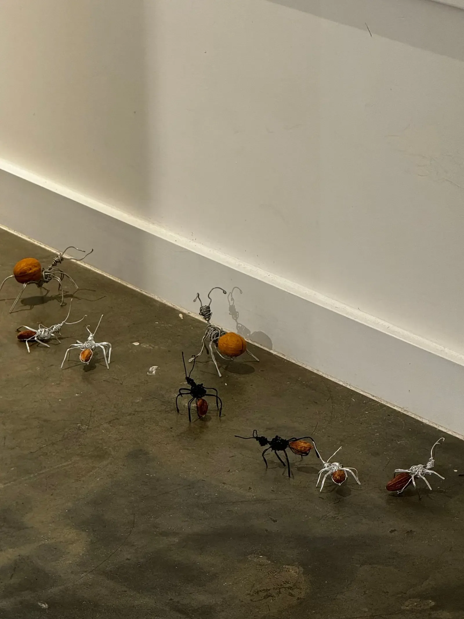 Wire ants carrying walnuts form a procession along a white gallery wall and concrete floor.
