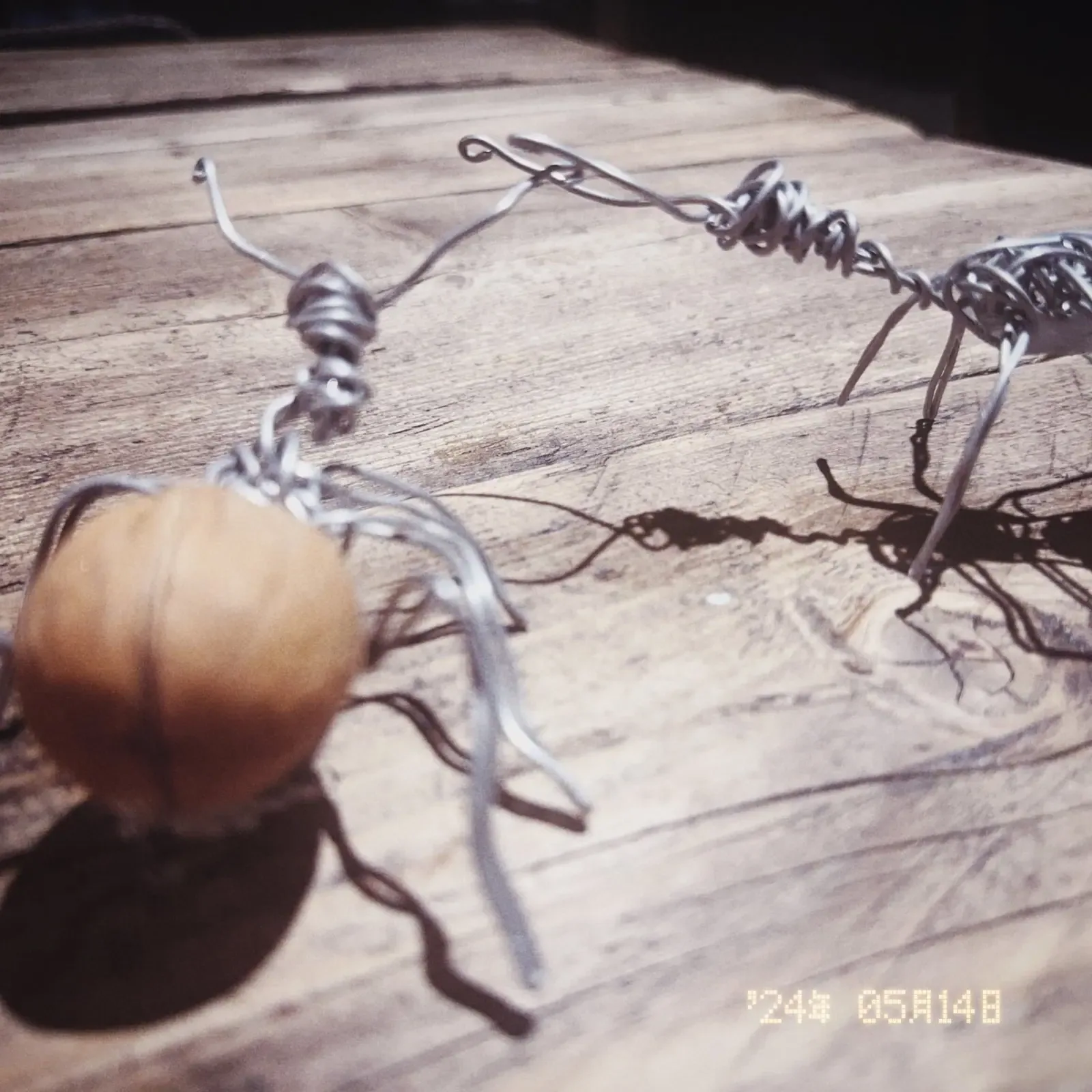 Close view of silver and black wire ants beside a walnut, showing their hand-twisted joints.