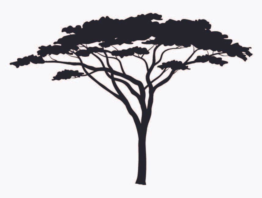 Black silhouette of a single tree, reference for installation tree. 孤树剪影,装置中树形的参考。