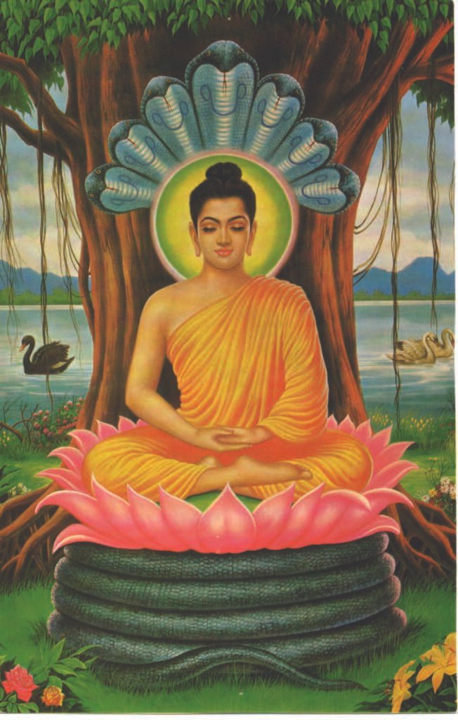 Buddha sitting under Bodhi tree. 佛陀在菩提树下打坐。