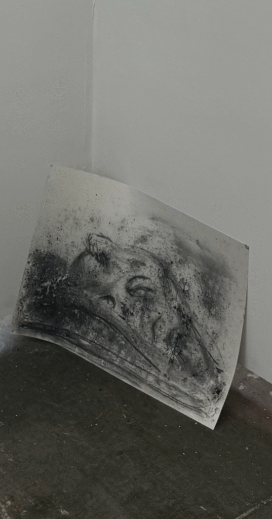 Installation-photo of a coal drawing of a fragmented head, placed low and vulnerable in a corner, referencing Shelley’s Ozymandias.