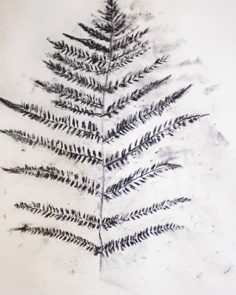 EN: Coal block rubbing of a fern on xuan paper, evoking the look of fossilized plants and connecting material experiment to deep time. CN: 用煤块在宣纸上拓印蕨叶,仿佛植物化石,连接材料实验与地质深时。